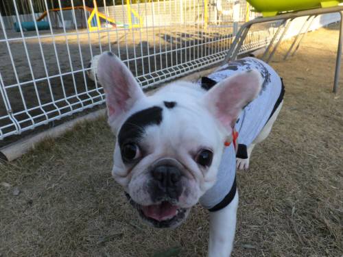 2014_122412-19チェルシー