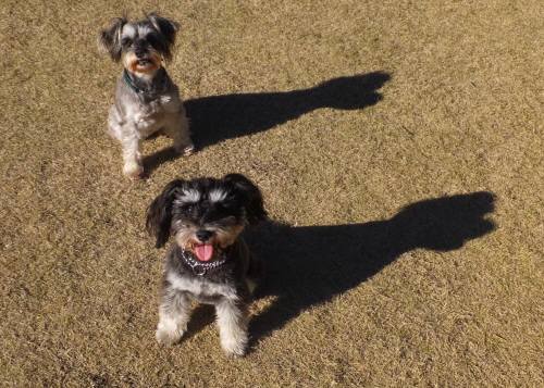 2014_120312-2茶々ラック