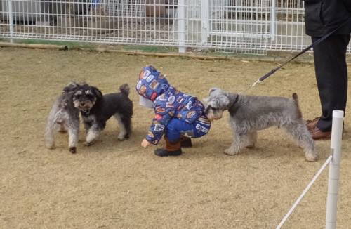 2014_122412-19シュート君