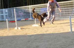 2014_122812-22さくら１