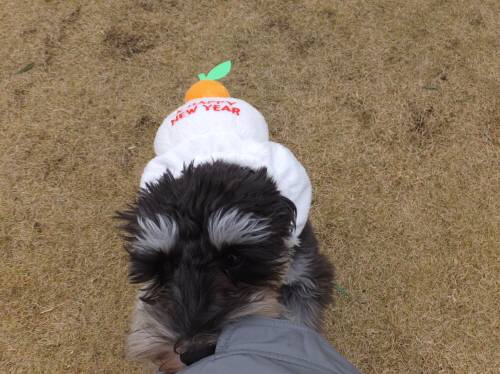 2014_121212-9ラックもち