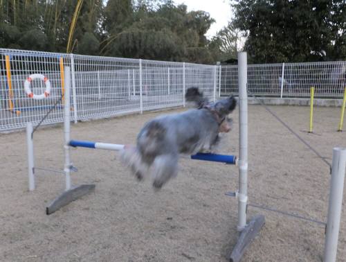 2014_122712-21メー