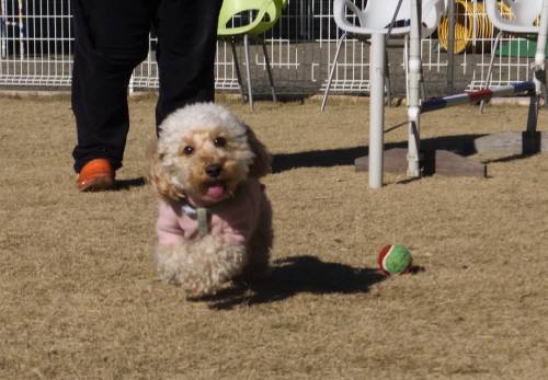 2014_121912-16つばさ