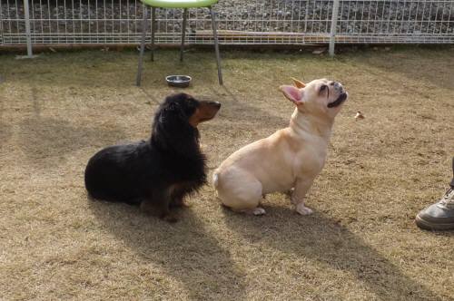 2014_120712-5サキユズ