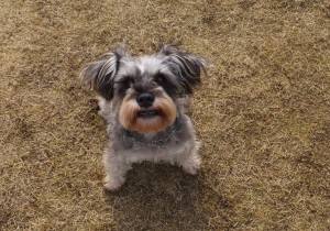 2014_122412-19ラック