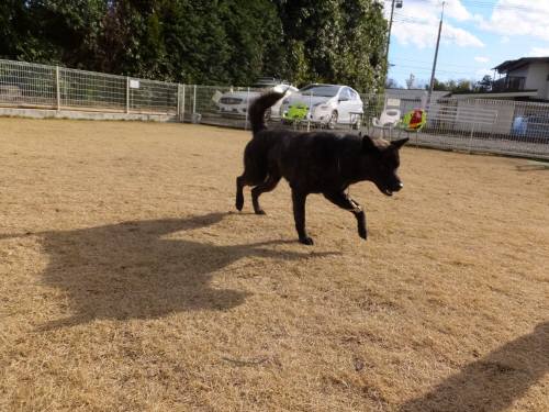 2014_122212-17さくら