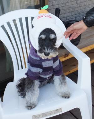 2014_122412-19ルネア