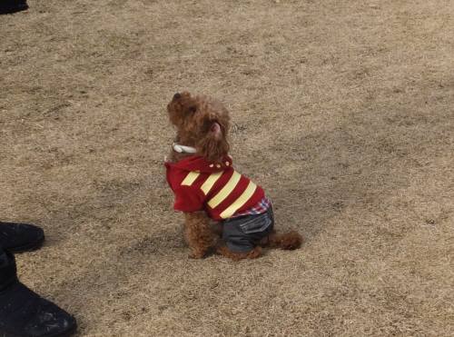 2014_122412-19ゴオちゃん