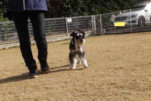 2014_122212-17ムック