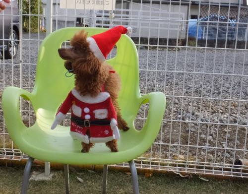 2014_120712-5クレア