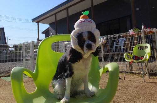 2014_120812-6あられもち