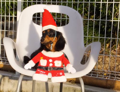 2014_120712-5あんりサンタ