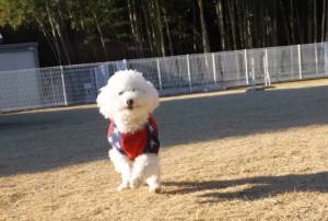 2014_122312-18タッキー