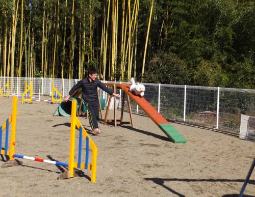 2014_121412-11アムル