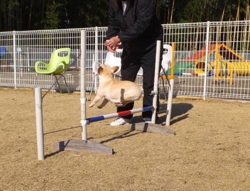 2014_123012-23サキ