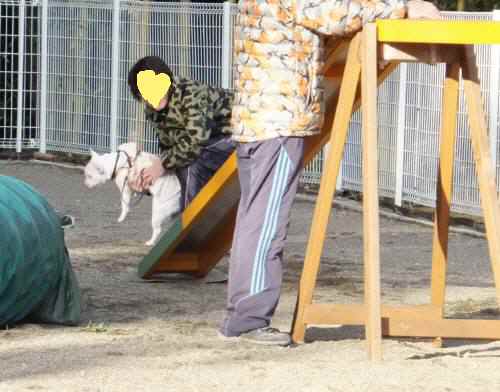 2014_121312-1チェルシー