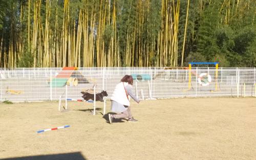 2014_120312-2さくら