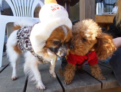 2014_122412-19ごおくう