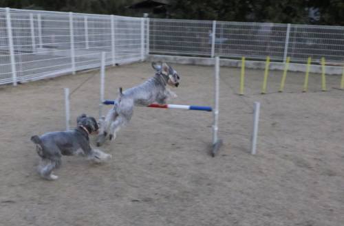 2014_122712-21ギンメー