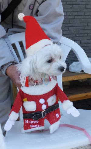 2014_122312-18めるサンタ