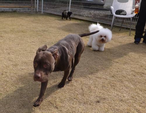 2014_120712-5サラアムル