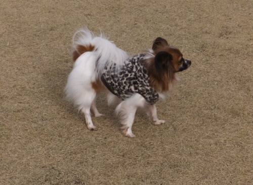 2014_122412-19くうちゃん