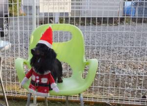 2014_120712-5ラウル