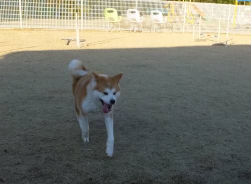 2014_122412-19トミー