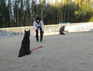 2014_121412-11さくら