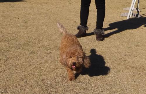 2014_122312-18ももちゃん