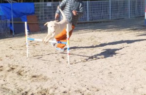 2014_122612-20なっつ