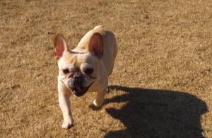 2014_123012-23サキ２