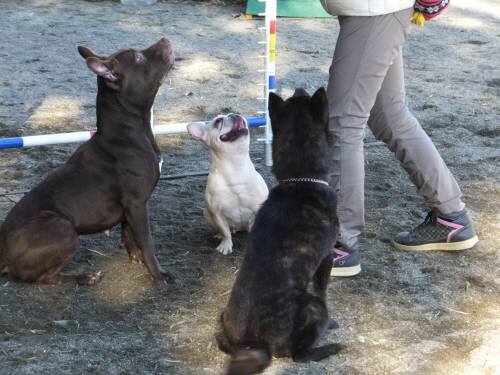 2014_122312-18三匹２