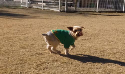 2014_122312-18しんちゃん２