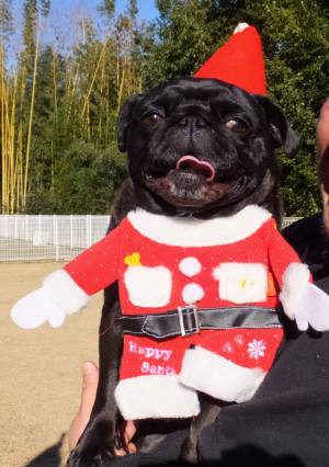 2014_122312-18サンタおはぎ