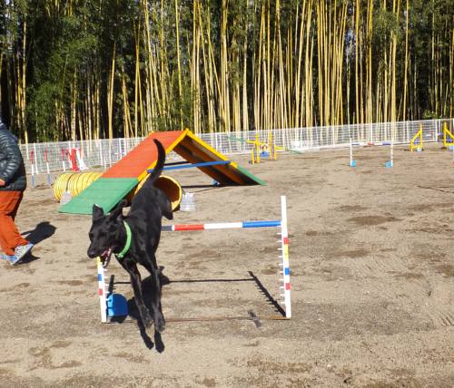 2014_122212-17ロック