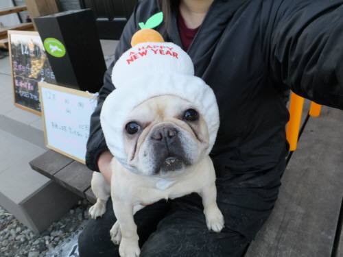 2014_122312-18サキもち