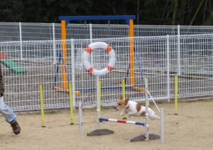 2014_122012-17チャッピー