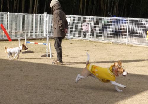 2014_121312-1むさし