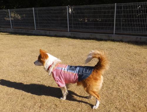 2014_122812-22シェリー