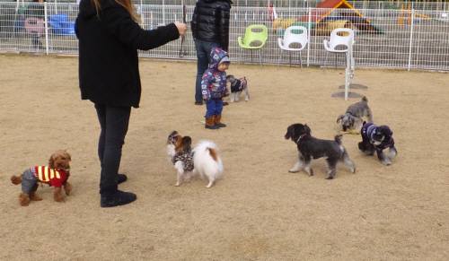 2014_122412-19シュンちゃん