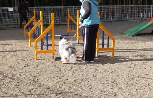 2014_121312-1アイル