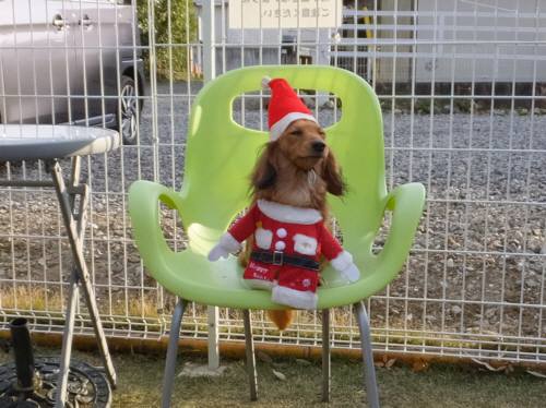 2014_120712-5ルナサンタ