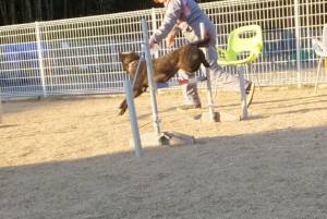 2014_122812-22さくら２