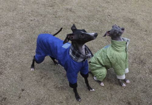 2014_120512-3モネマーブル