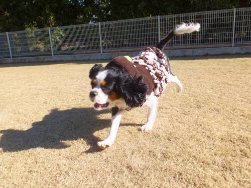 2014_122212-17あられ