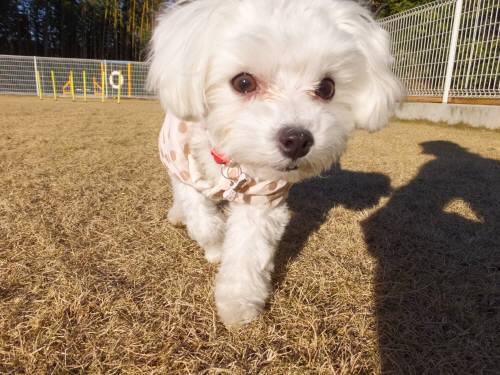 2014_122312-18める