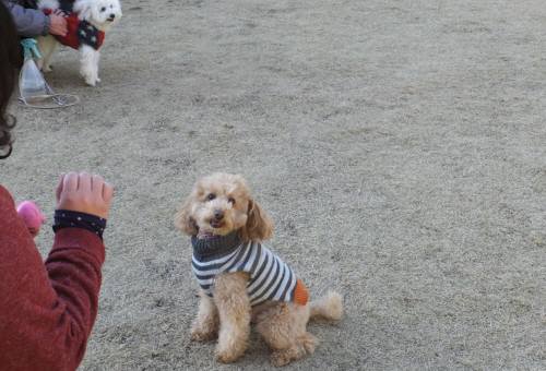 2014_122312-18ソナ