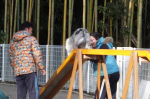 2014_121312-1アイル２