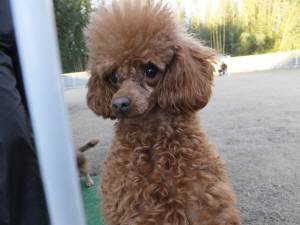 2014_121412-11クレア